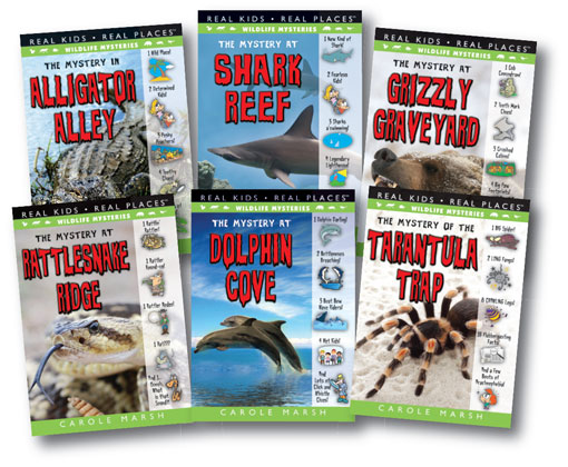 New series uses STEM skills to solve each mystery!