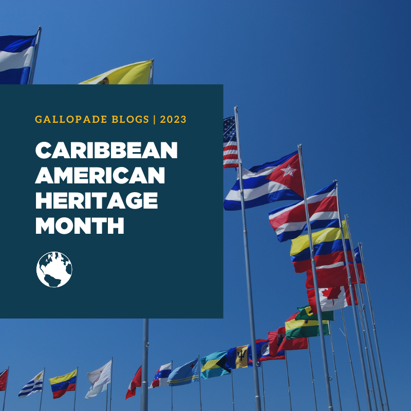 Asian Pacific American Heritage Month