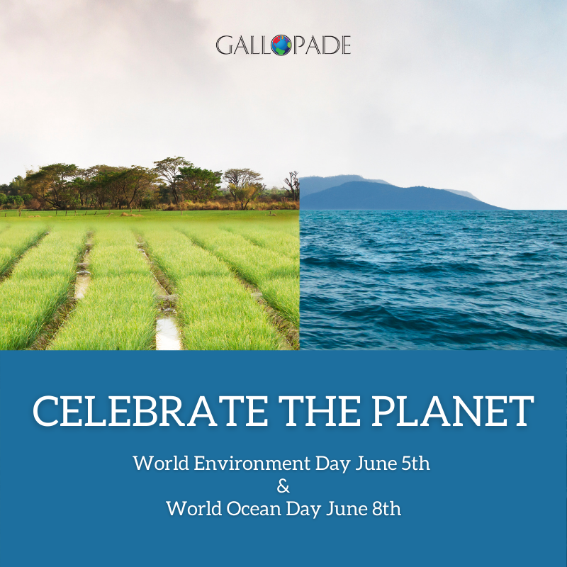 Celebrate World Environment Day + World Ocean Day in June
